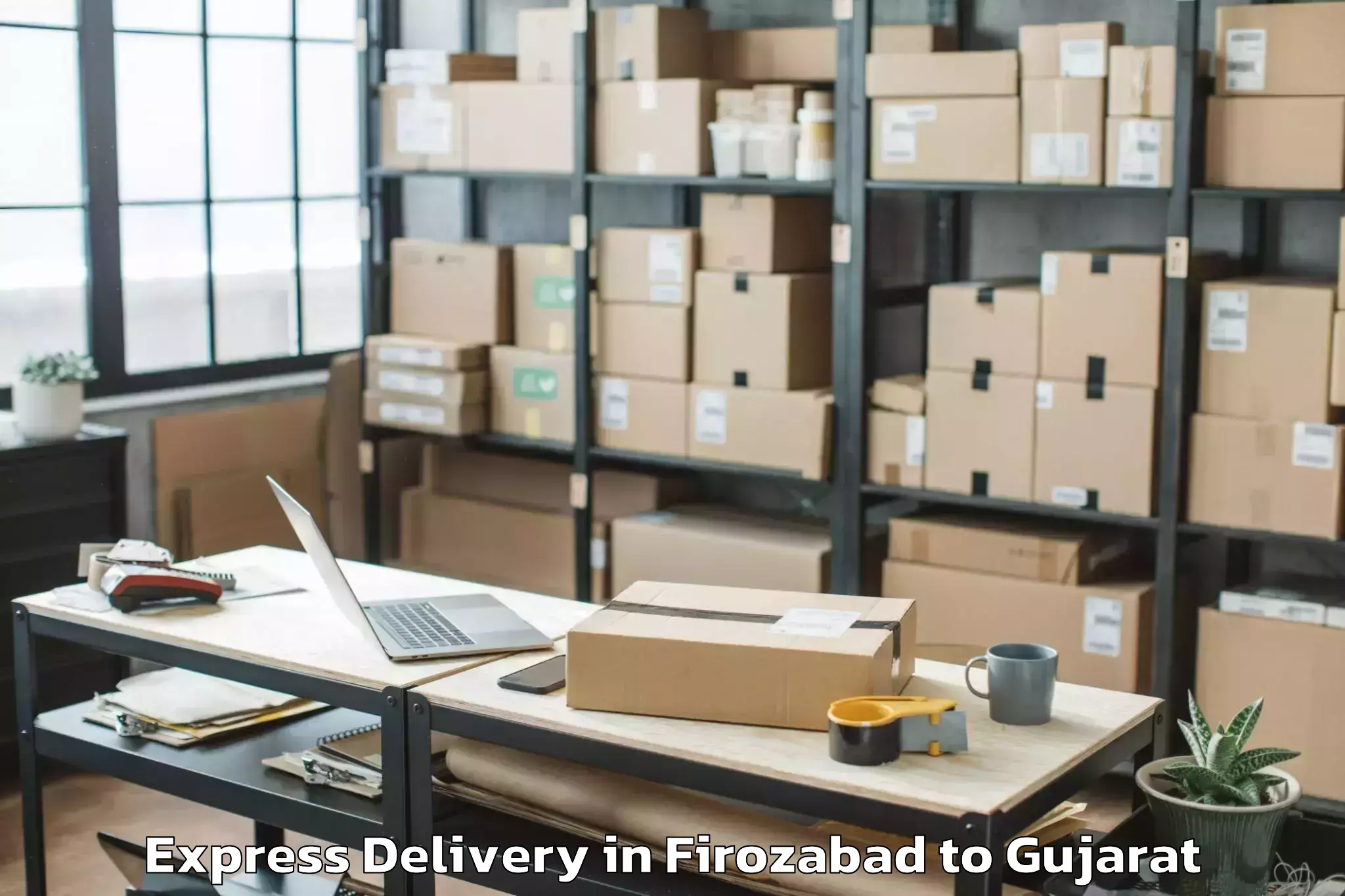 Expert Firozabad to Vadgam Express Delivery